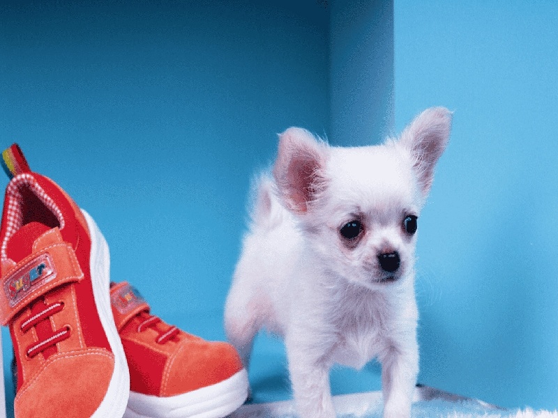 郑州试管被骗事件（广东 试管婴儿补助）